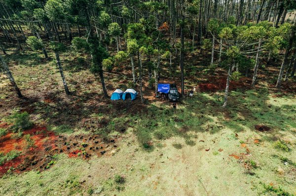 Unveiling wwii mysteries: an ultimate adventure into british spy records tours